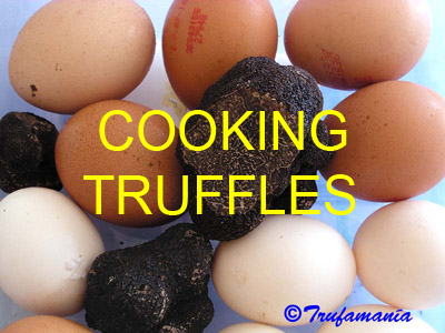 Truffles gastronomy